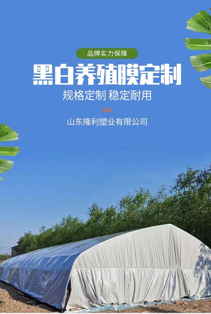 透明地膜在农业中的革新与应用